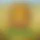 Zagraj Mega Moolah z Games Global w {"id":83,"name":"Mystake","design":{"logo":"mystake-logo-Y1pn37.svg","favicon":"mystake-favicon-nMdAxy.png","banner_poker":"mystake-poker-tHCLFj.webp","banner_mobile":"mystake-mobile-NyFqtG.webp","block_bg_color":"#2E1065","image_bg_color":"#18181B","banner_bg_color":"#2e1065","block_text_color":"#ffffff","primary_bg_color":"#18181b","banner_text_color":"#fff","footer_logos_type":"white","block_round_radius":"0.25rem","primary_text_color":"#ffffff","button_round_radius":"0.25rem","banner_welcome_bonus":"mystake-welcome-bonus-b9qXpl.webp","primary_button_bg_color":"#dc2626","primary_button_text_color":"#fff","secondary_button_bg_color":"#0ea5e9","secondary_button_text_color":"#fff"},"created_at":"2025-05-14T09:25:23.000000Z","updated_at":"2025-05-14T09:25:23.000000Z","deleted_at":null}