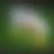 Zagraj Let It Ride z Playtech w {"id":83,"name":"Mystake","design":{"logo":"mystake-logo-Y1pn37.svg","favicon":"mystake-favicon-nMdAxy.png","banner_poker":"mystake-poker-tHCLFj.webp","banner_mobile":"mystake-mobile-NyFqtG.webp","block_bg_color":"#2E1065","image_bg_color":"#18181B","banner_bg_color":"#2e1065","block_text_color":"#ffffff","primary_bg_color":"#18181b","banner_text_color":"#fff","footer_logos_type":"white","block_round_radius":"0.25rem","primary_text_color":"#ffffff","button_round_radius":"0.25rem","banner_welcome_bonus":"mystake-welcome-bonus-b9qXpl.webp","primary_button_bg_color":"#dc2626","primary_button_text_color":"#fff","secondary_button_bg_color":"#0ea5e9","secondary_button_text_color":"#fff"},"created_at":"2025-05-14T09:25:23.000000Z","updated_at":"2025-05-14T09:25:23.000000Z","deleted_at":null}